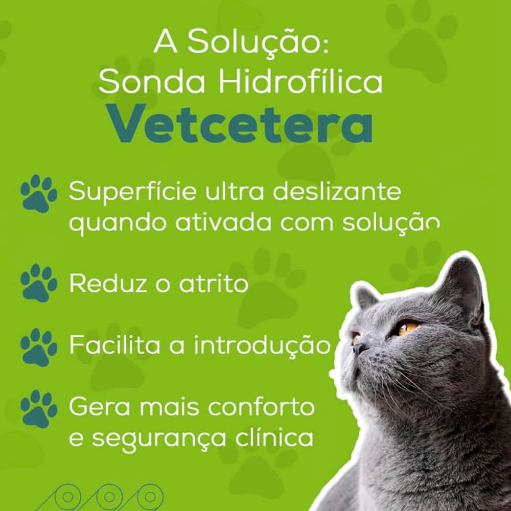 SONDA URETRAL PARA GATOS HIDROFÍLICA (4FRX130MM) 1UN (VETCETERA) - Imagem 3